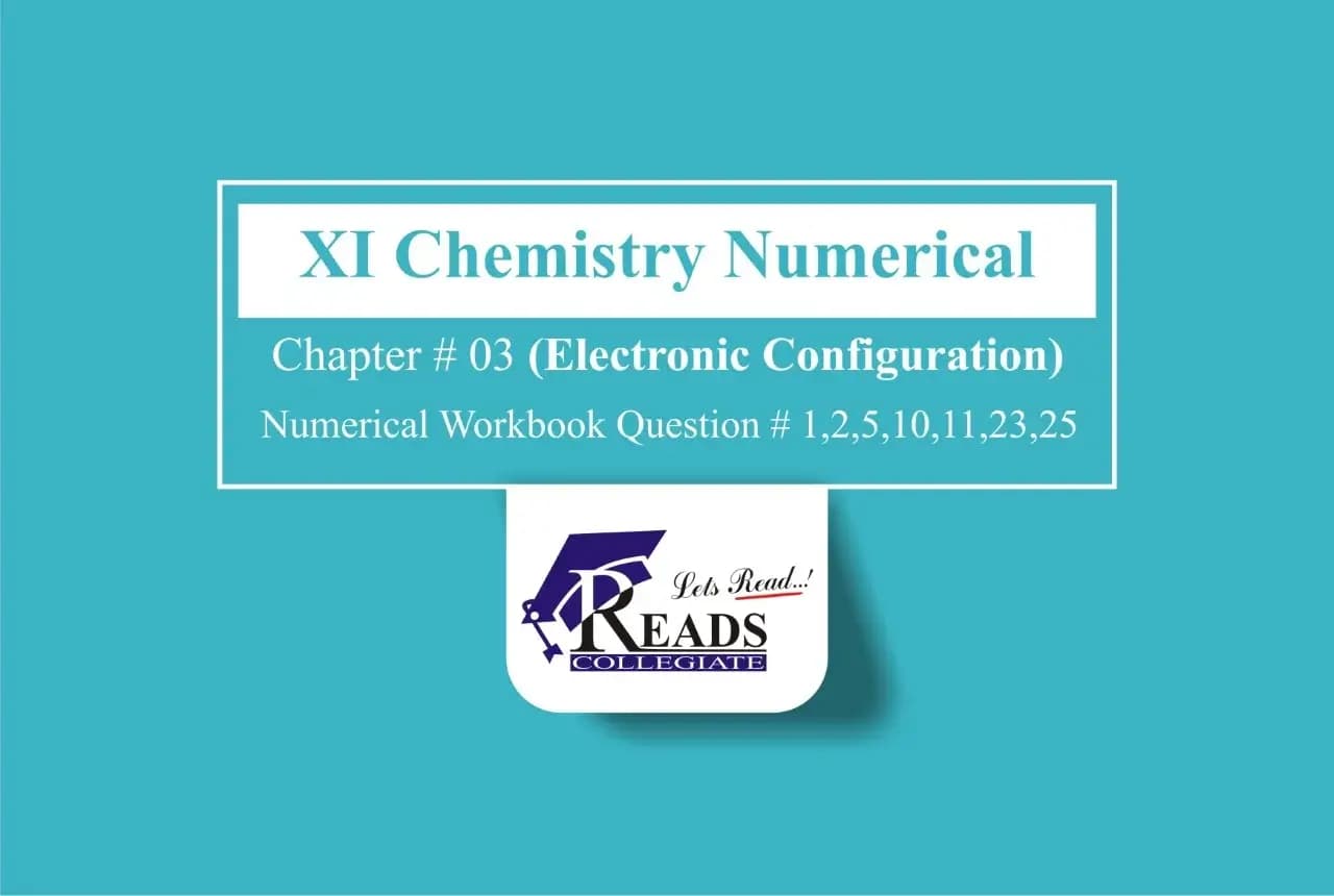 Stones With New Laminate Flooring